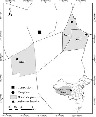 Grassland health assessment based on indicators monitored by UAVs: a case study at a household scale